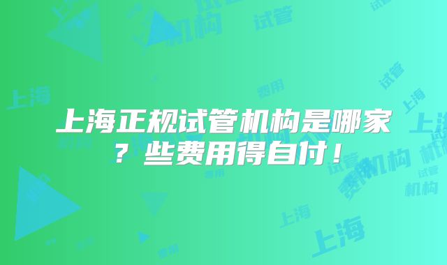 上海正规试管机构是哪家?些费用得自付!