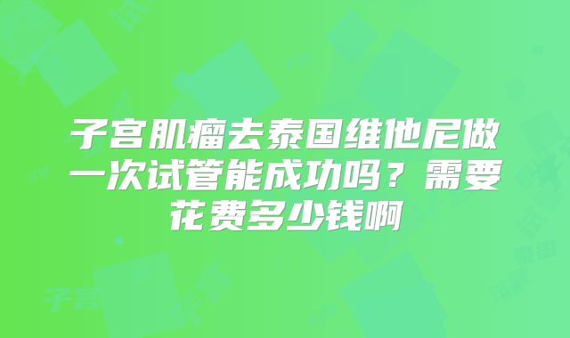 子宫肌瘤去泰国维他尼做一次试管能成功吗?需要花费多少钱啊