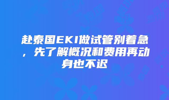 赴泰国EKI做试管别着急，先了解概况和费用再动身也不迟