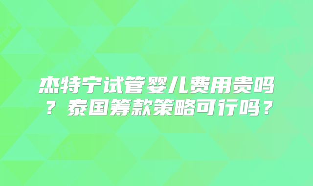 杰特宁试管婴儿费用贵吗?泰国筹款策略可行吗?