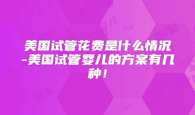 美国试管花费是什么情况-美国试管婴儿的方案有几种!