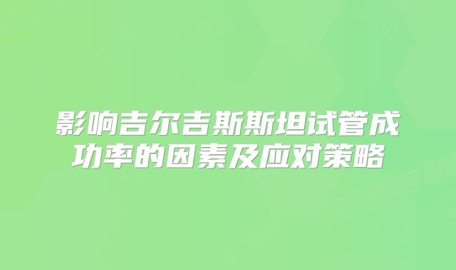影响吉尔吉斯斯坦试管成功率的因素及应对策略