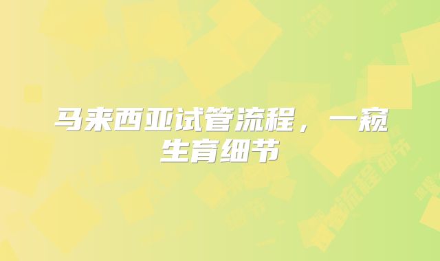 马来西亚试管流程，一窥生育细节