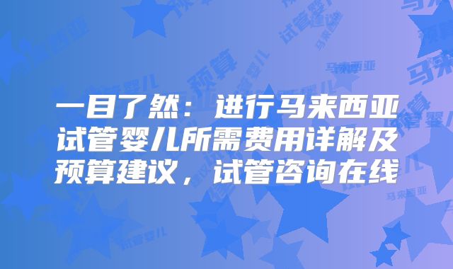 一目了然:进行马来西亚试管婴儿所需费用详解及预算建议,试管咨询在线