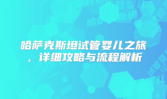 哈萨克斯坦试管婴儿之旅，详细攻略与流程解析