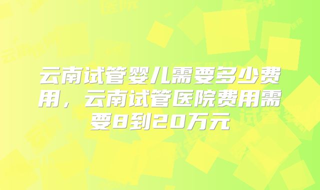 云南试管婴儿需要多少费用,云南试管医院费用需要8到20万元