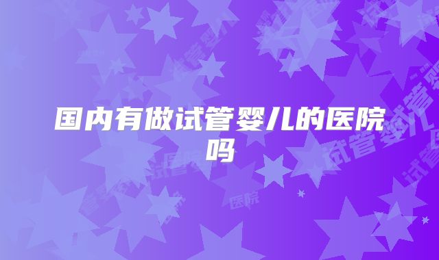 国内有做试管婴儿的医院吗