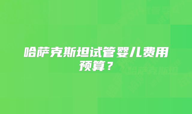 哈萨克斯坦试管婴儿费用预算？