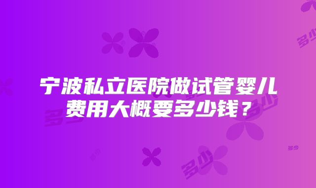 宁波私立医院做试管婴儿费用大概要多少钱？
