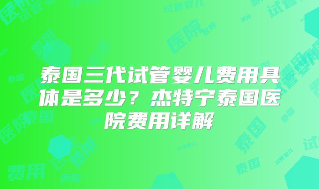 泰国三代试管婴儿费用具体是多少?杰特宁泰国医院费用详解