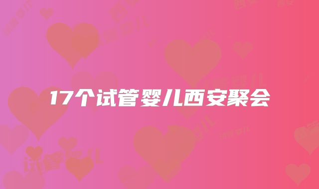 17个试管婴儿西安聚会