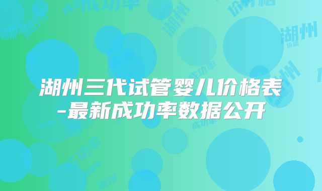 湖州三代试管婴儿价格表-最新成功率数据公开