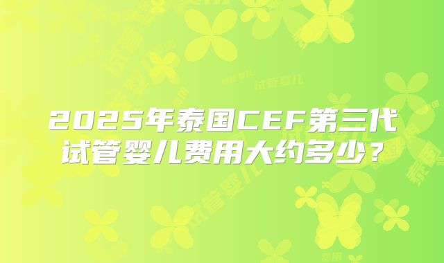2025年泰国CEF第三代试管婴儿费用大约多少?