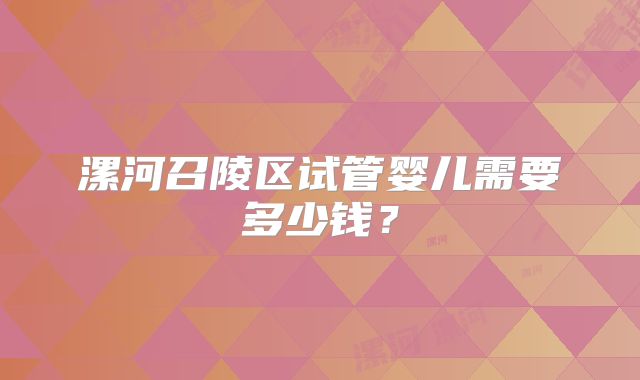 漯河召陵区试管婴儿需要多少钱?