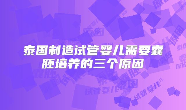 泰国制造试管婴儿需要囊胚培养的三个原因