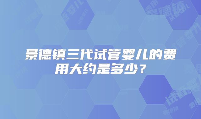 景德镇三代试管婴儿的费用大约是多少？