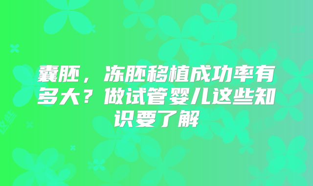 囊胚,冻胚移植成功率有多大?做试管婴儿这些知识要了解