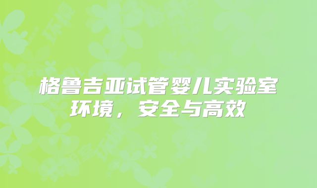 格鲁吉亚试管婴儿实验室环境,安全与高效