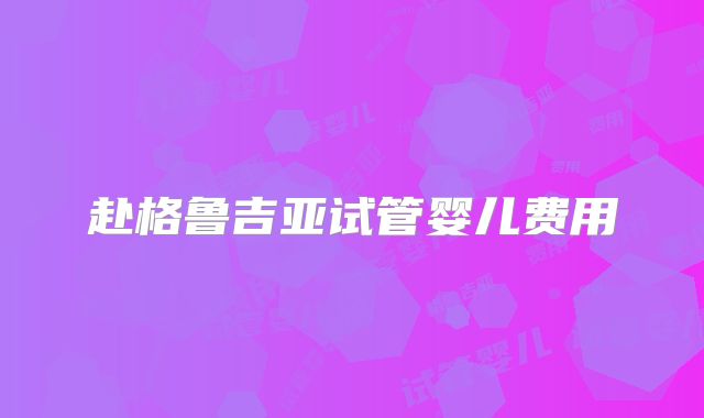 赴格鲁吉亚试管婴儿费用