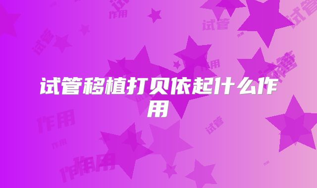 试管移植打贝依起什么作用