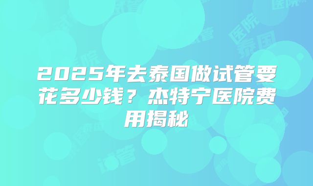 2025年去泰国做试管要花多少钱？杰特宁医院费用揭秘