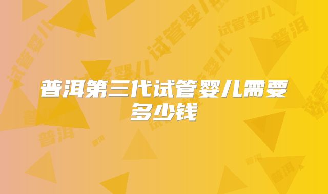 普洱第三代试管婴儿需要多少钱