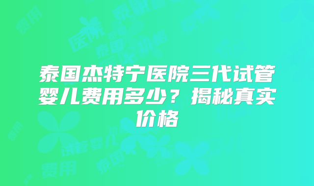 泰国杰特宁医院三代试管婴儿费用多少？揭秘真实价格
