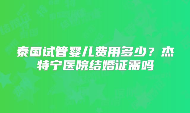 泰国试管婴儿费用多少?杰特宁医院结婚证需吗