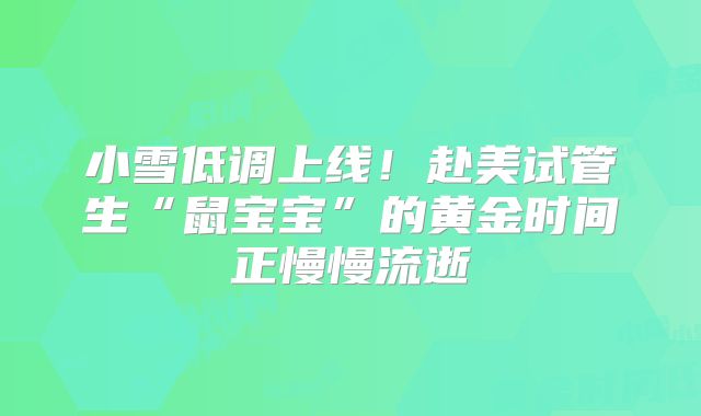 小雪低调上线!赴美试管生“鼠宝宝”的黄金时间正慢慢流逝