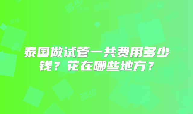 泰国做试管一共费用多少钱？花在哪些地方？