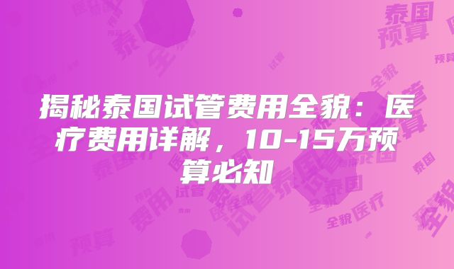 揭秘泰国试管费用全貌：医疗费用详解，10-15万预算必知