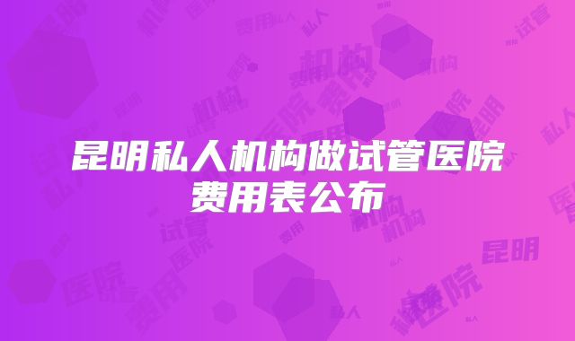 昆明私人机构做试管医院费用表公布
