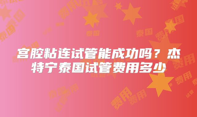 宫腔粘连试管能成功吗?杰特宁泰国试管费用多少
