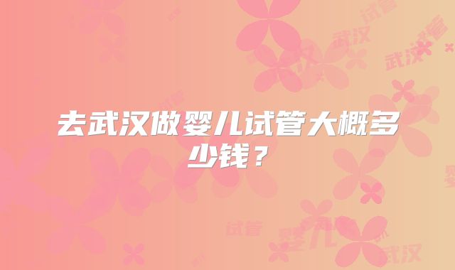去武汉做婴儿试管大概多少钱？