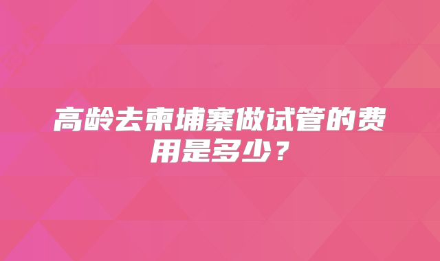 高龄去柬埔寨做试管的费用是多少？