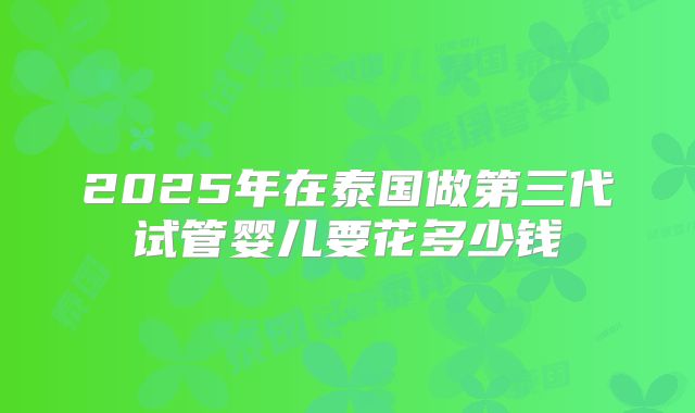 2025年在泰国做第三代试管婴儿要花多少钱