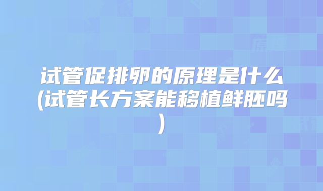 试管促排卵的原理是什么(试管长方案能移植鲜胚吗)
