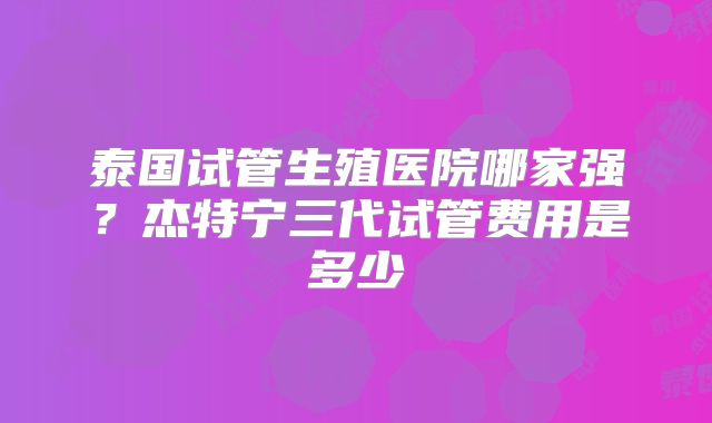 泰国试管生殖医院哪家强?杰特宁三代试管费用是多少