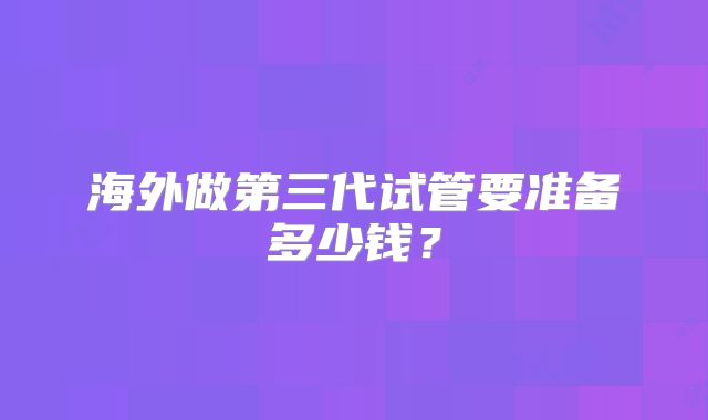 海外做第三代试管要准备多少钱?