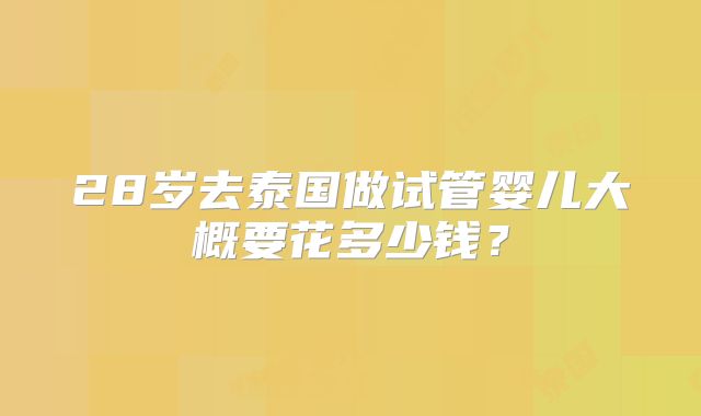 28岁去泰国做试管婴儿大概要花多少钱?