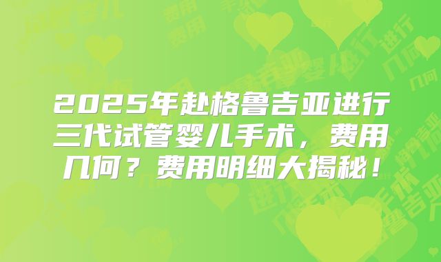 2025年赴格鲁吉亚进行三代试管婴儿手术，费用几何？费用明细大揭秘！