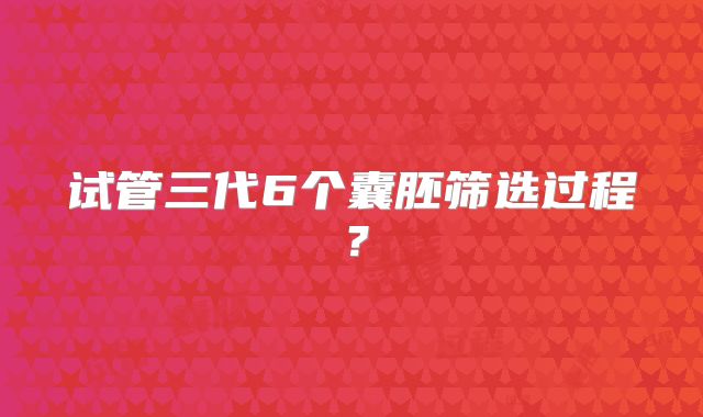 试管三代6个囊胚筛选过程?