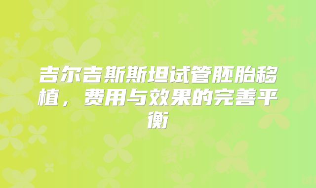 吉尔吉斯斯坦试管胚胎移植,费用与效果的完善平衡