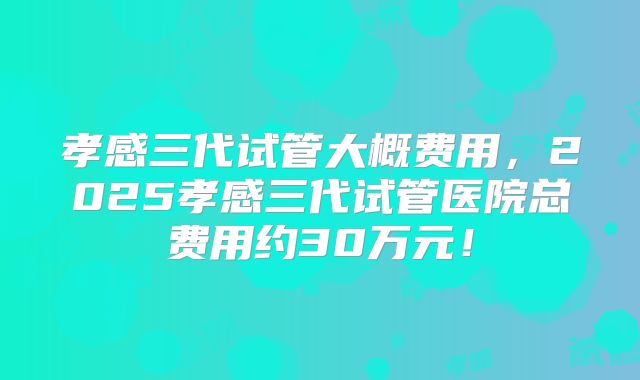 孝感三代试管大概费用，2025孝感三代试管医院总费用约30万元！