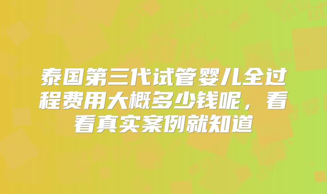 泰国第三代试管婴儿全过程费用大概多少钱呢,看看真实案例就知道