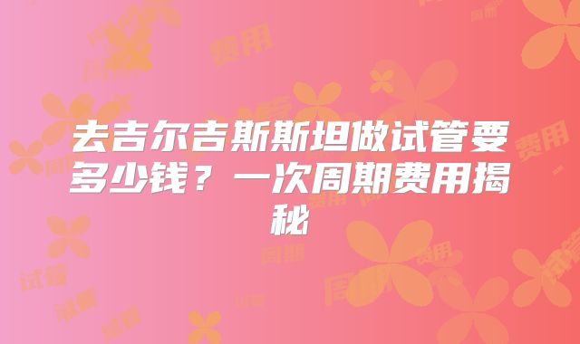 去吉尔吉斯斯坦做试管要多少钱？一次周期费用揭秘