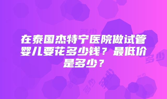 在泰国杰特宁医院做试管婴儿要花多少钱？最低价是多少？