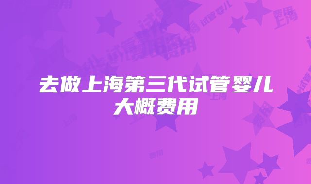 去做上海第三代试管婴儿大概费用