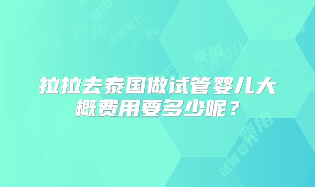 拉拉去泰国做试管婴儿大概费用要多少呢?