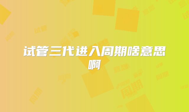 试管三代进入周期啥意思啊